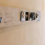 Le Dimore Di Diana Venaria Reale